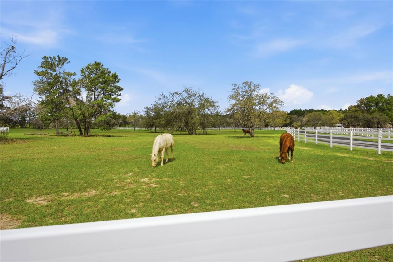 10532 SW 27th Avenue, Ocala, FL 34476 Photo