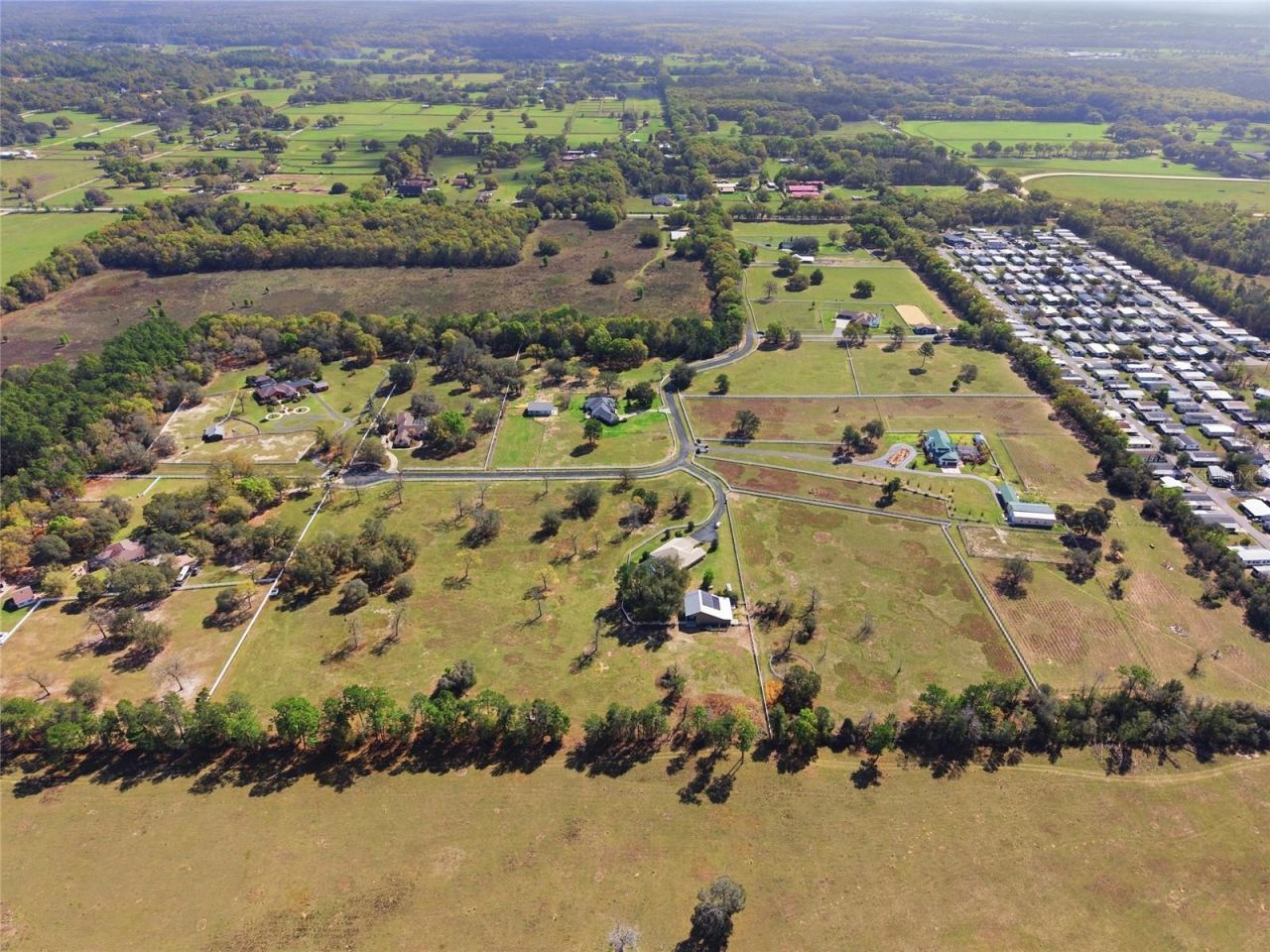 10532 SW 27th Avenue, Ocala, FL 34476 Photo