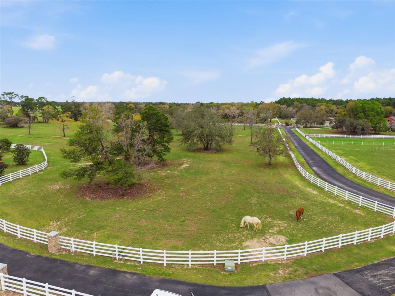 10532 SW 27th Avenue, Ocala, FL 34476 Photo