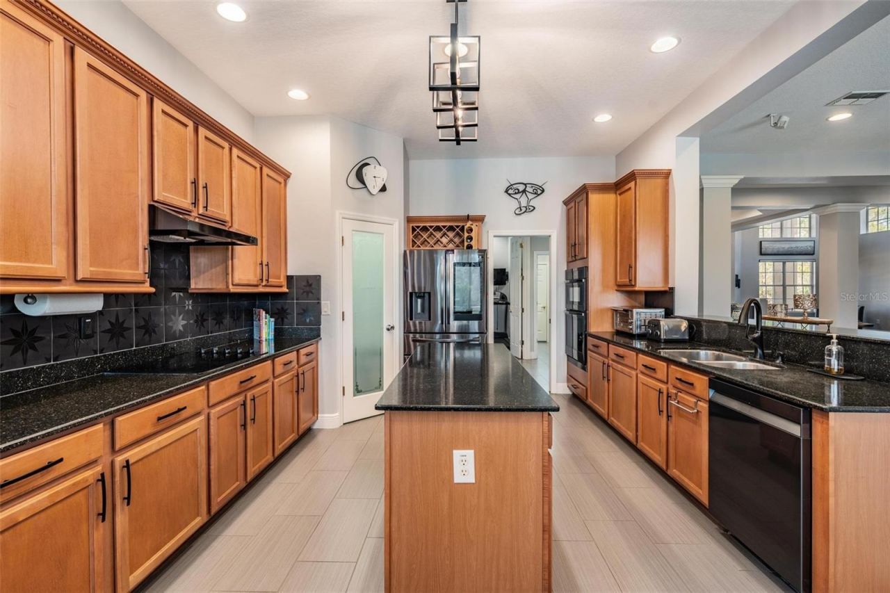 23626 Abercorn Lane, Land O Lakes, FL 34639 Photo