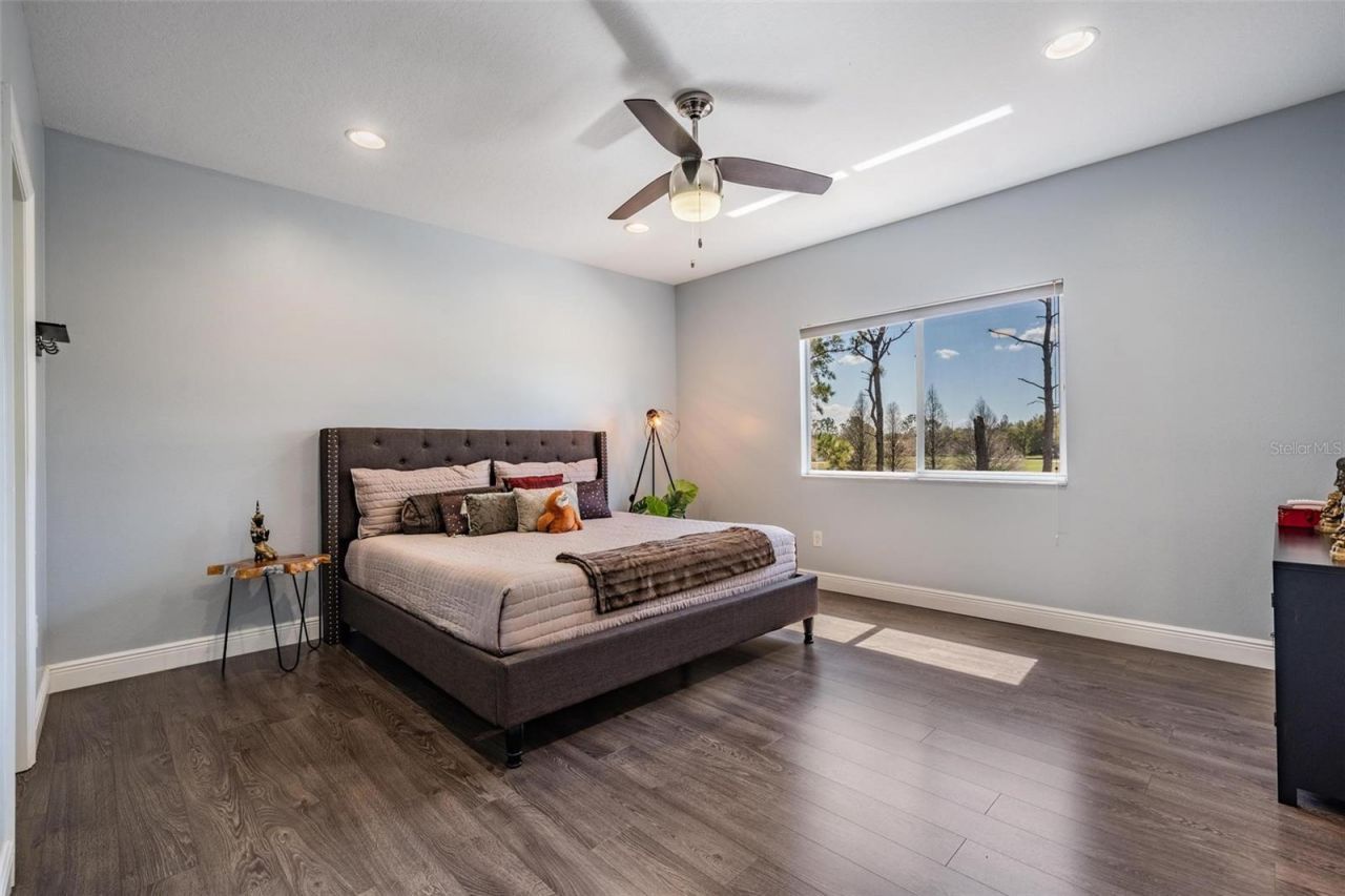 23626 Abercorn Lane, Land O Lakes, FL 34639 Photo