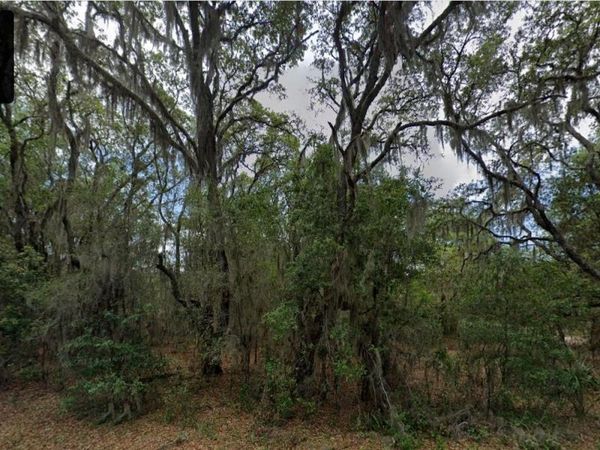 5636 W JUNIOR LANE , DUNNELLON, FL 34433