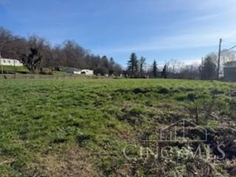 308 Jackson St, Higginsport, OH 45131 Photo 5