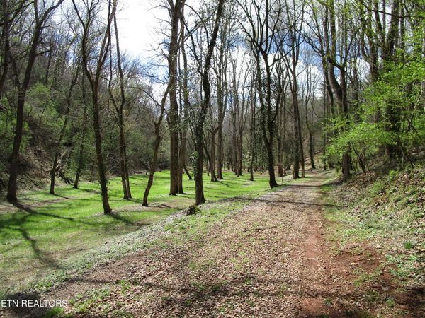 4125 Bear Hollow Loop, Louisville, TN 37777