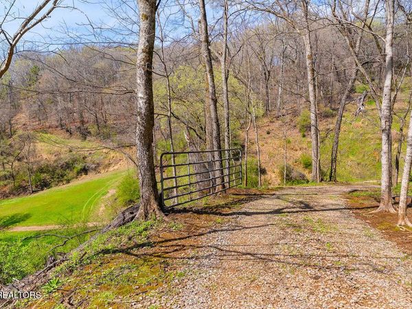 4125 Bear Hollow Loop, Louisville, TN 37777