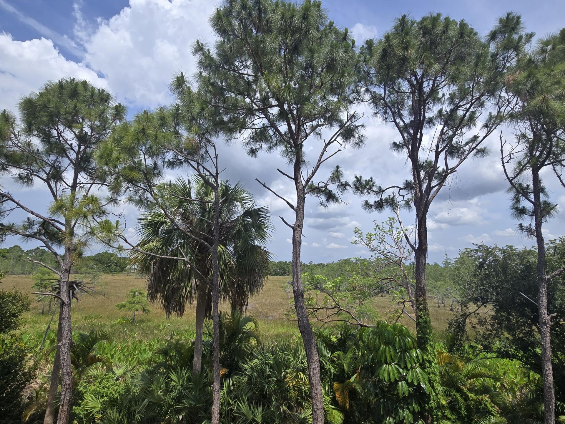 8955 Okeechobee Boulevard, Unit 206, West Palm Beach, FL 33411 Photo