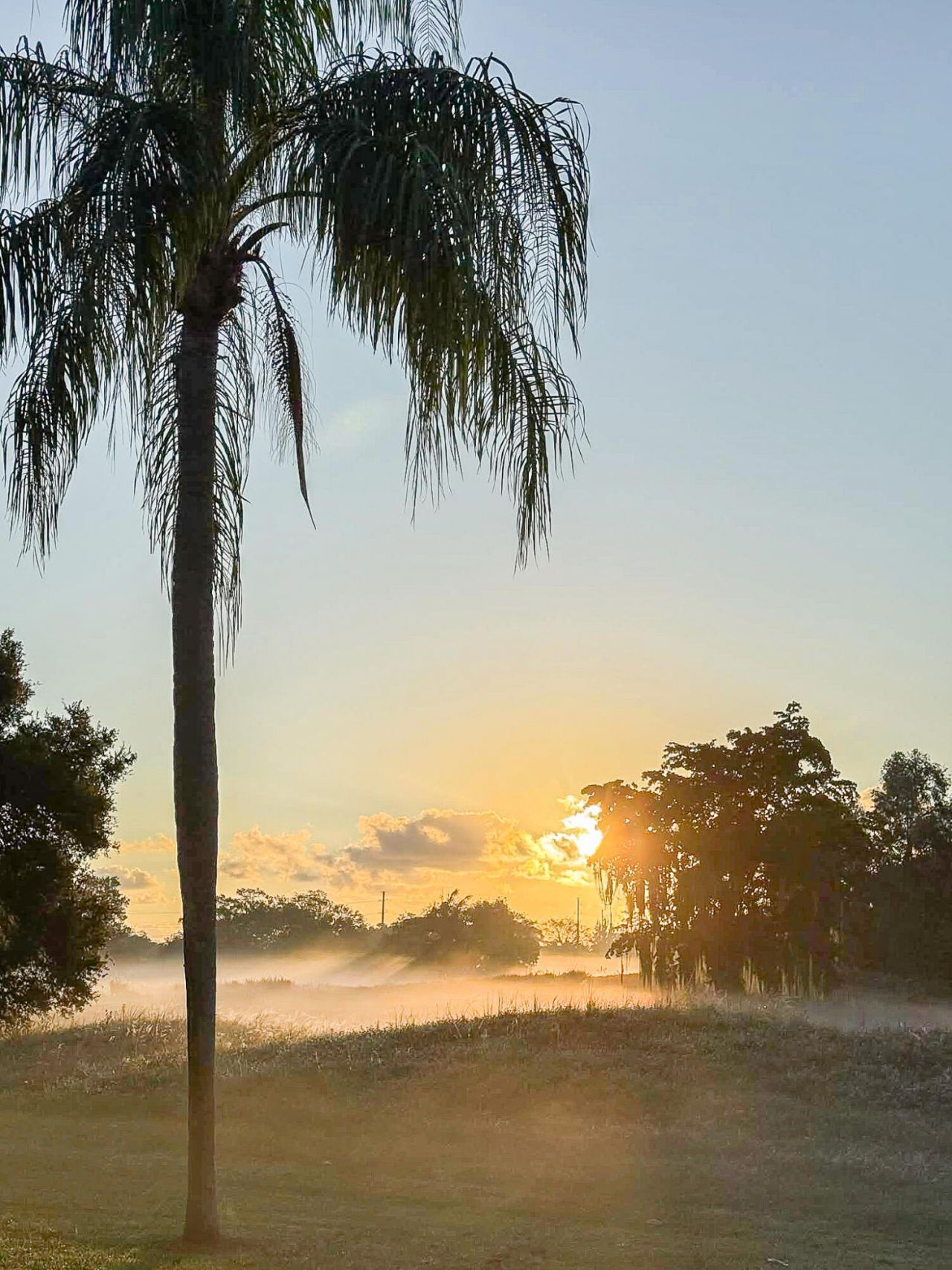 5523 Constant Spring Terrace, Unit 222, Lauderhill, FL 33319 Photo