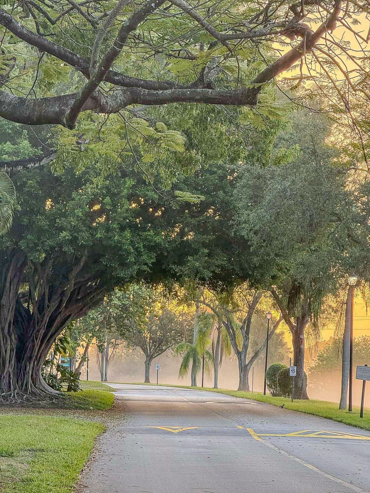 5523 Constant Spring Terrace, Unit 222, Lauderhill, FL 33319 Photo