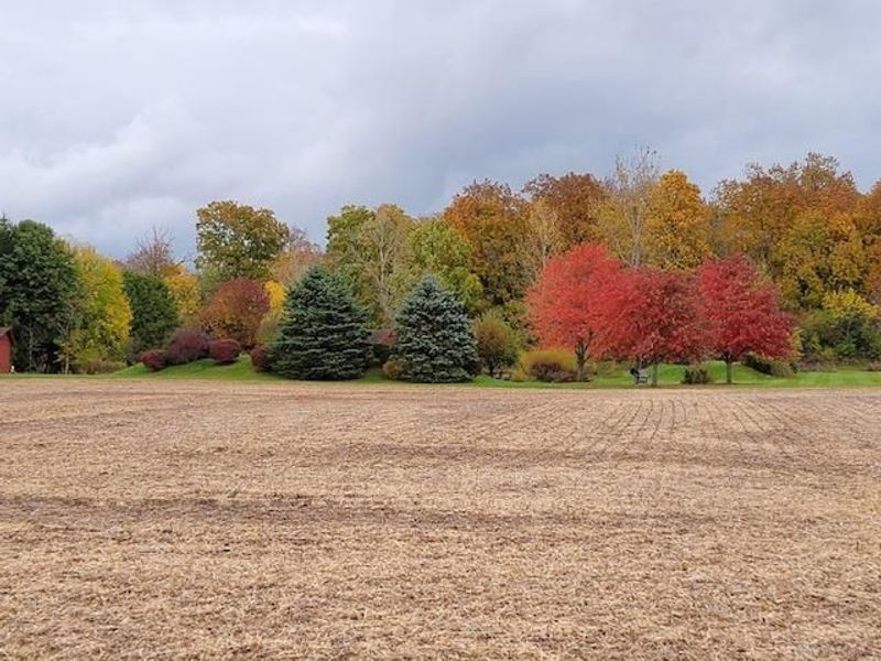 8492 Wellbaum Rd, Brookville, OH 45309 Photo 10