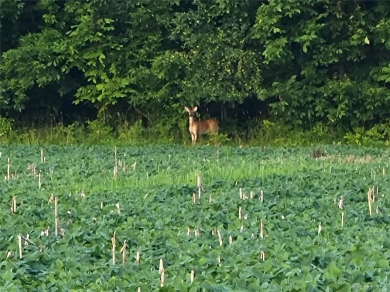 8492 Wellbaum Rd, Brookville, OH 45309 Photo 12