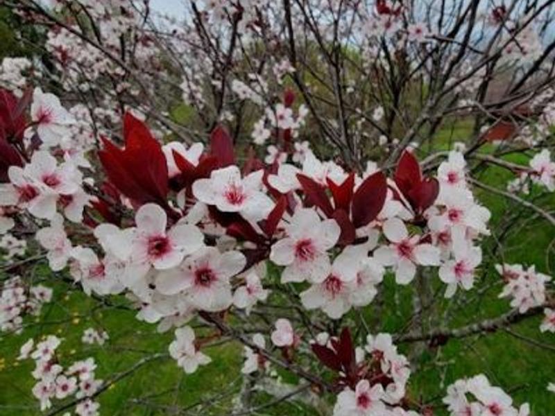 8492 Wellbaum Rd, Brookville, OH 45309 Photo 13