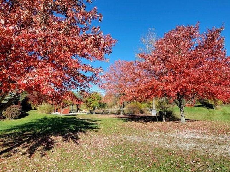 8492 Wellbaum Rd, Brookville, OH 45309 Photo 9