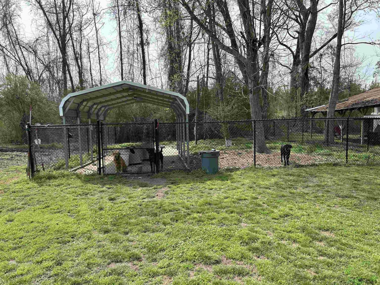 1225 Muddy Creek Rd. Photo 27