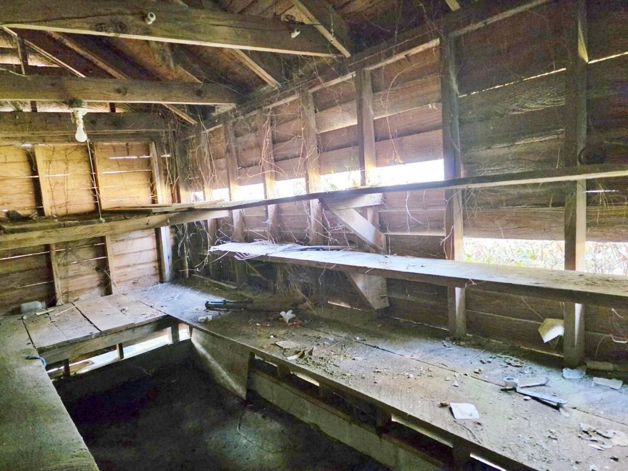 1107 Gilmore Avenue Photo 39