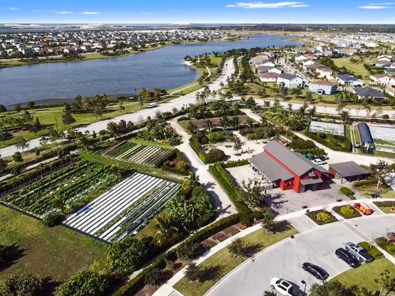 19624 Broad Shore Walk, Loxahatchee, FL 33470 Photo