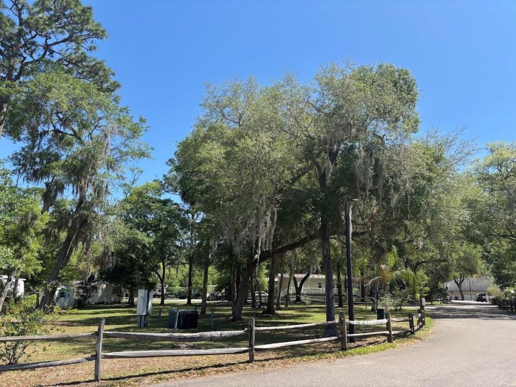 25235 NE 143rd Place , Unit 145, Salt Springs, FL 32134 Photo