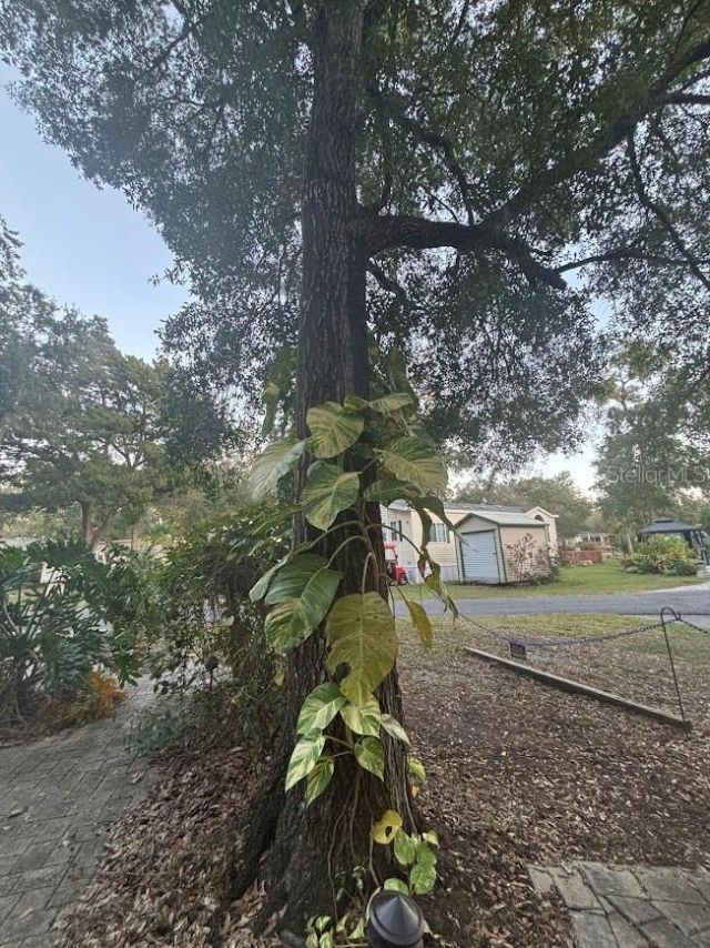 25203 NE 141st Lane , Unit 254, Salt Springs, FL 32134 Photo