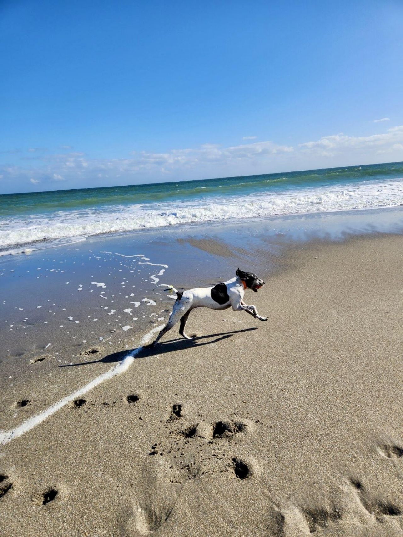 1605 S Us Highway 1, Unit 14e, Jupiter, FL 33477 Photo