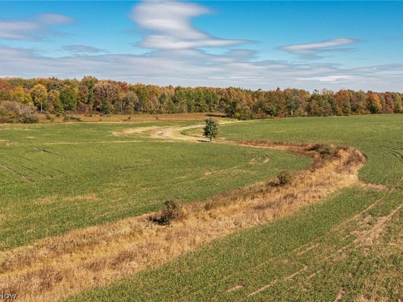 9310 Slagle Road, Garrettsville, OH 44231 Photo 3