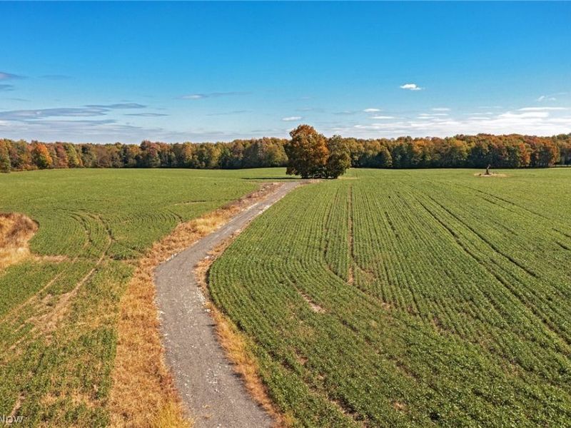 9310 Slagle Road, Garrettsville, OH 44231 Photo 4