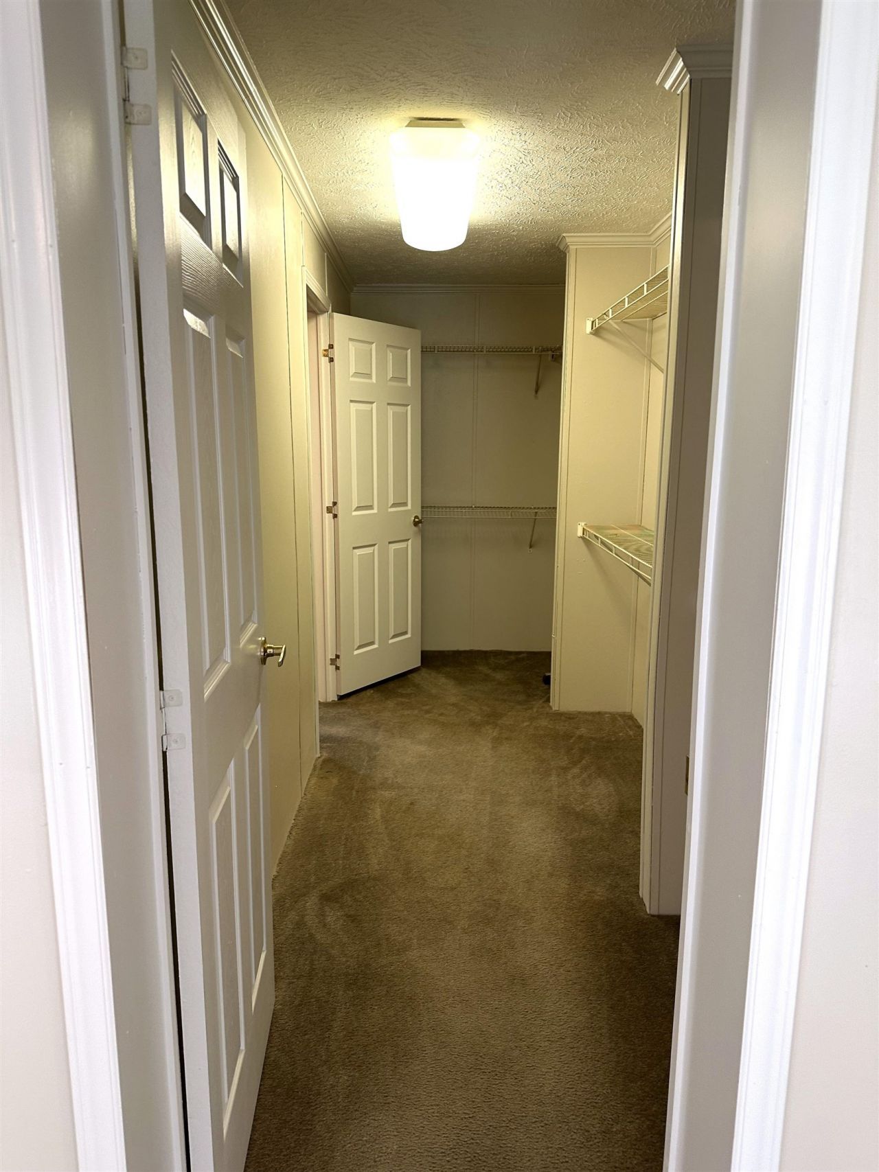 6595 Breezewood Blvd. Photo 33