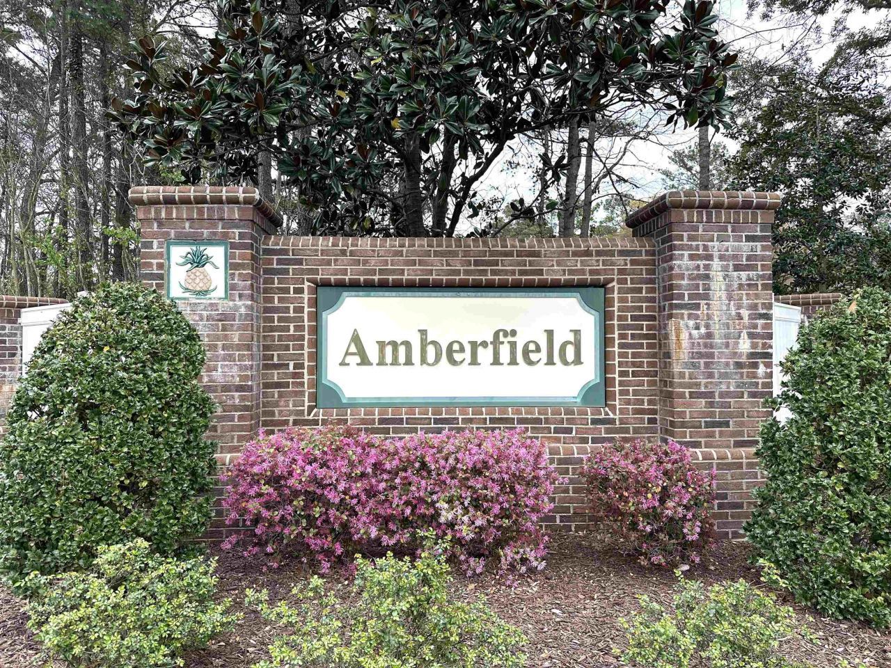 6595 Breezewood Blvd. Photo 65