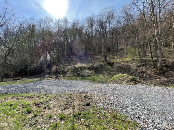 Tbd Sawmill Hollow Road, Dante, VA 24237
