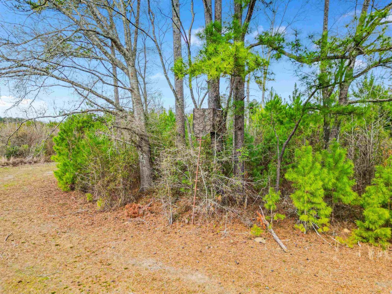 Tbd Muddy Creek Rd. Photo 17