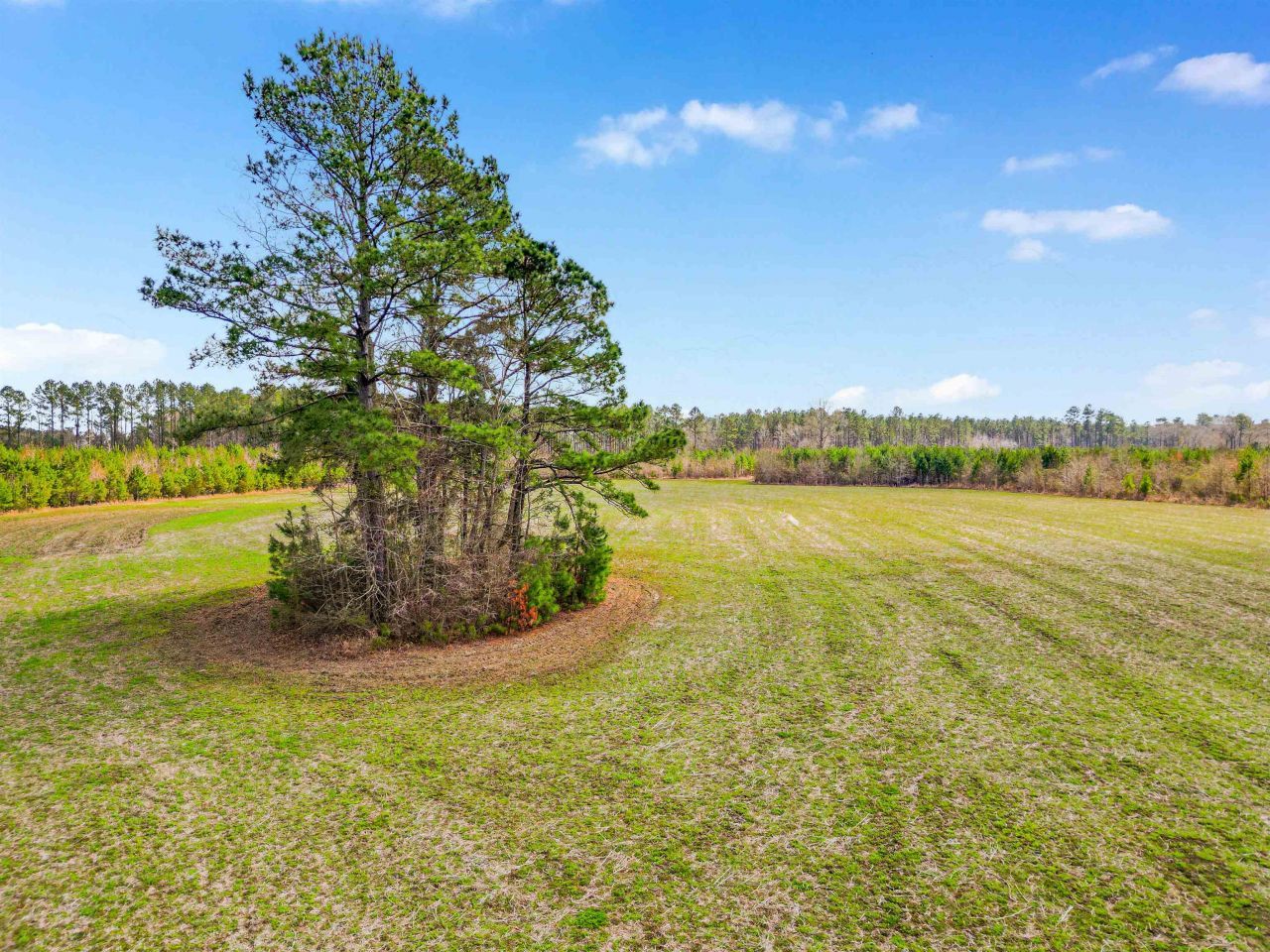 Tbd Muddy Creek Rd. Photo 18
