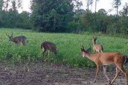 Tbd Muddy Creek Rd. photo 4