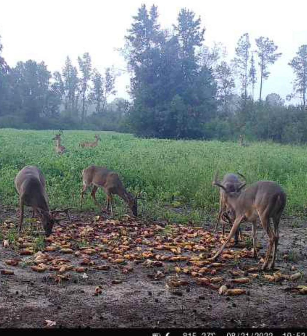 Tbd Muddy Creek Rd. Photo 4
