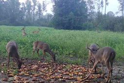 Tbd Muddy Creek Rd. photo 4