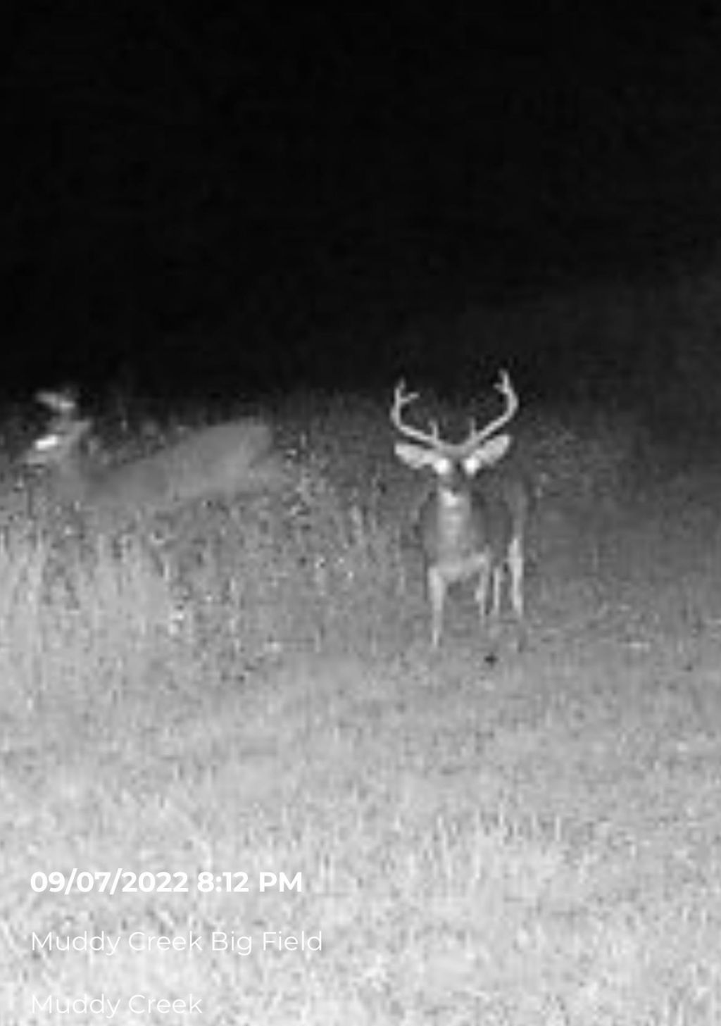 Tbd Muddy Creek Rd. Photo 5