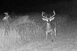 Tbd Muddy Creek Rd. photo 4