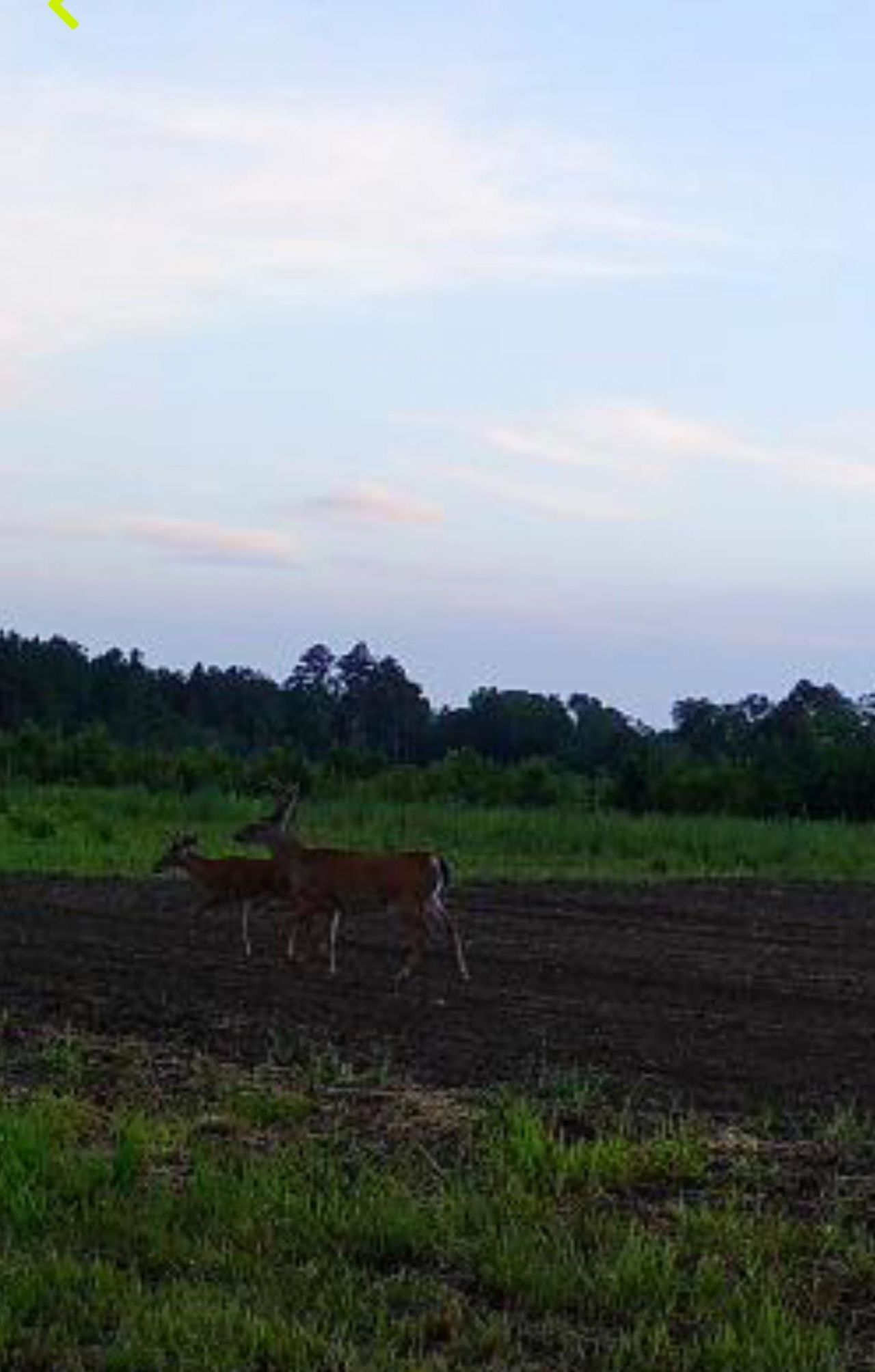 Tbd Muddy Creek Rd. Photo 6