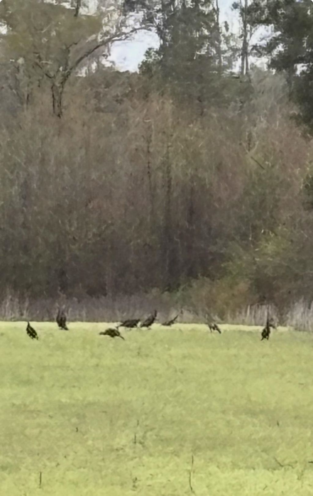 Tbd Muddy Creek Rd. Photo 7