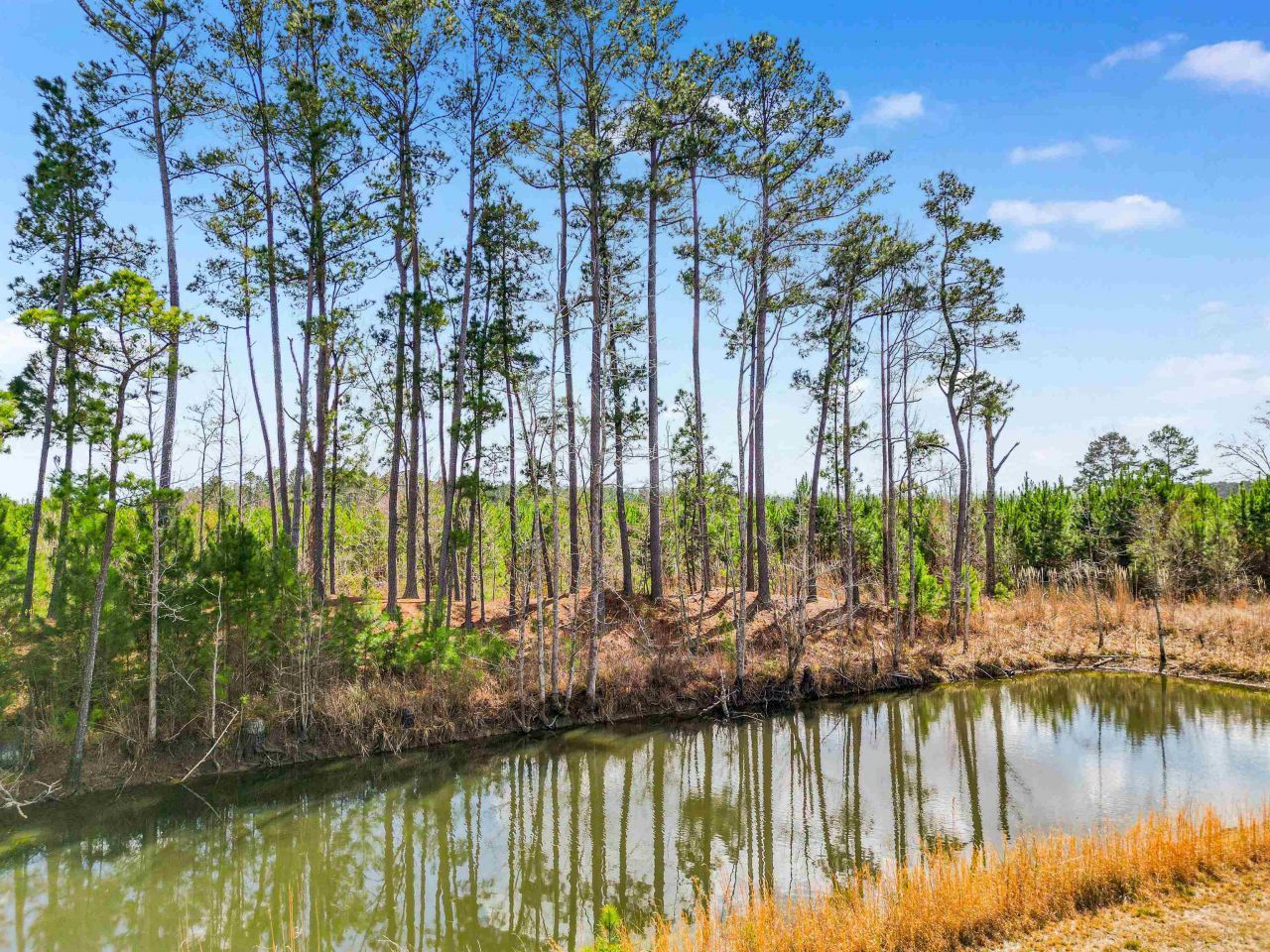 Tbd Muddy Creek Rd. Photo 8
