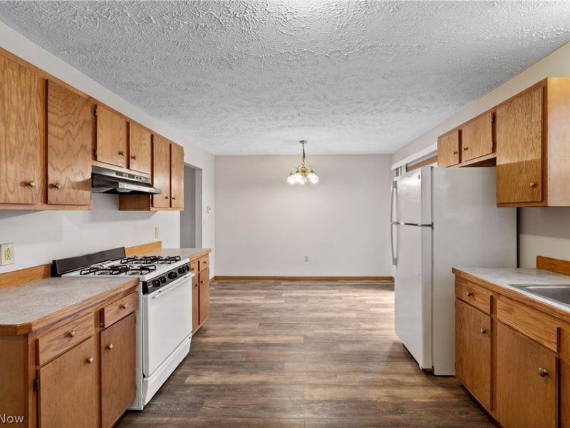 103 W Crosier Street, Akron, OH 44311 Photo 10