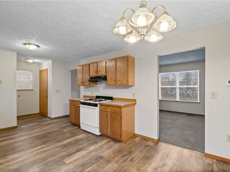 103 W Crosier Street, Akron, OH 44311 Photo 11