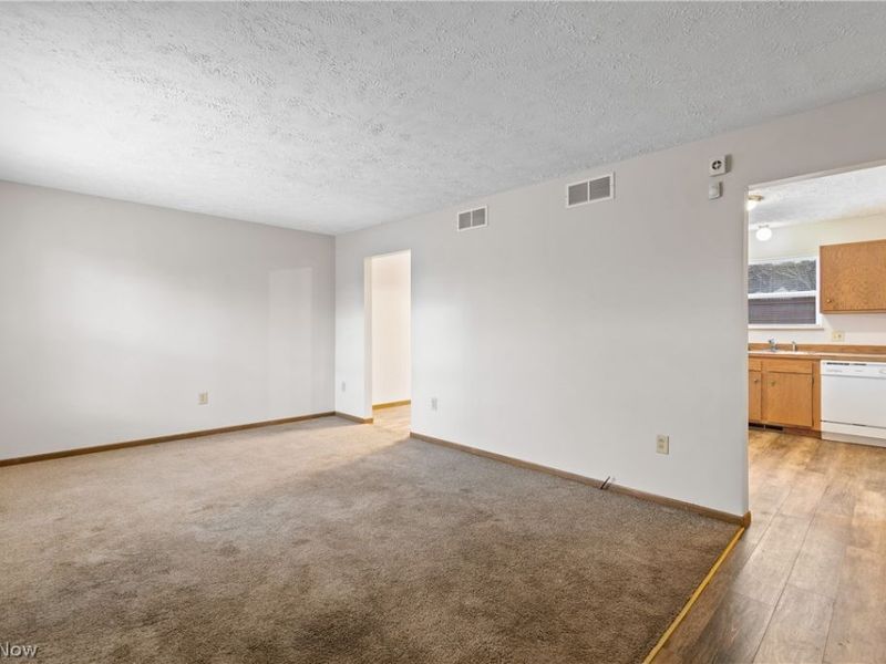 103 W Crosier Street, Akron, OH 44311 Photo 3