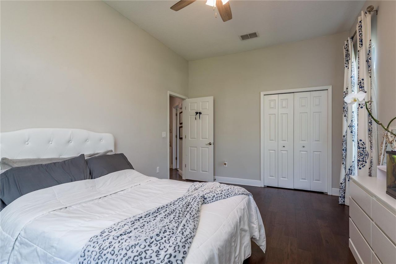 4010 Executive Drive, Palm Harbor, FL 34685 Photo