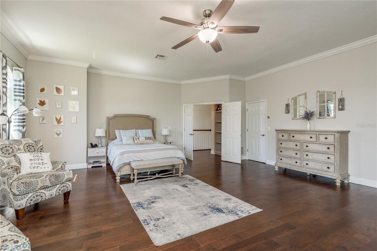 4010 Executive Drive, Palm Harbor, FL 34685 Photo