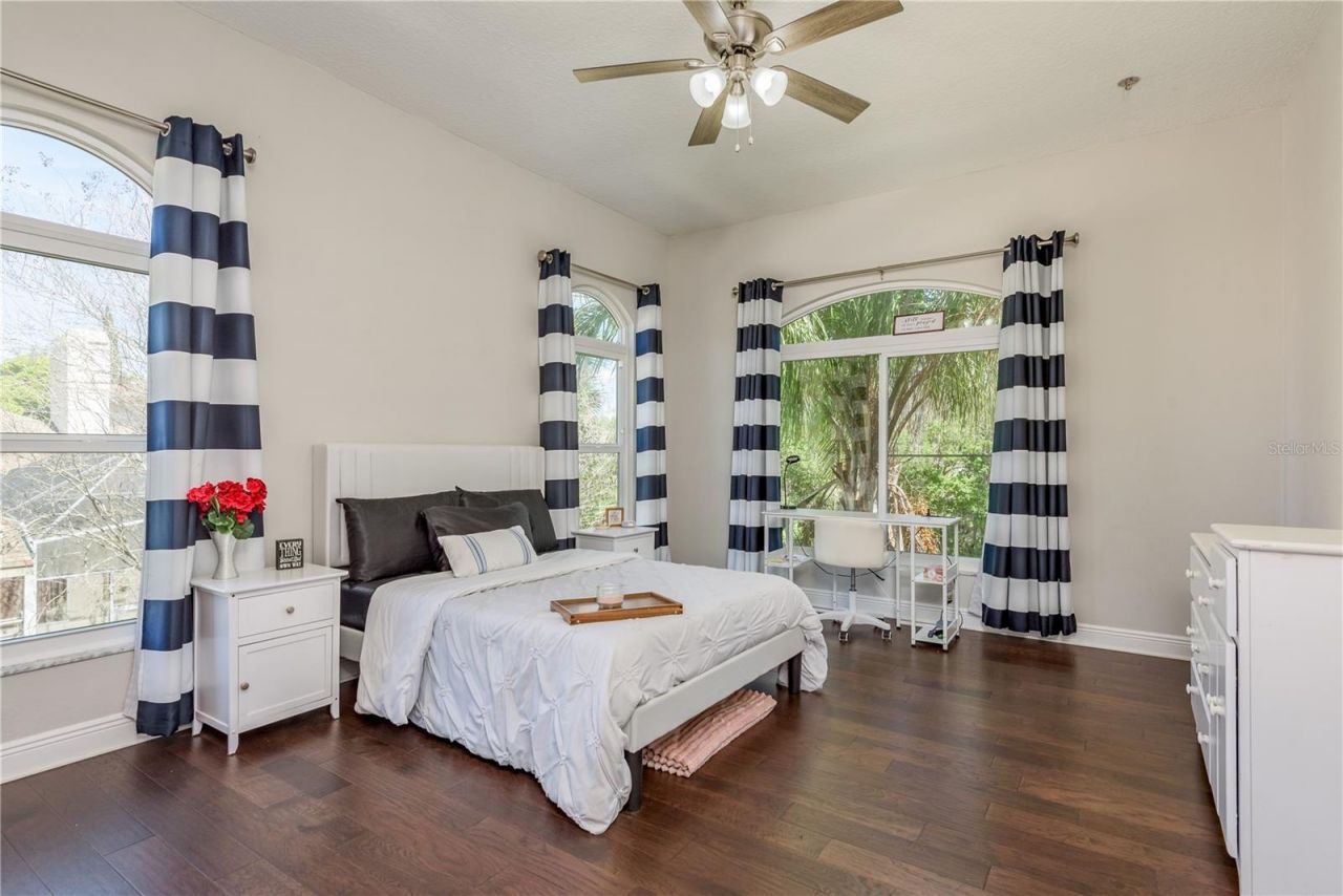 4010 Executive Drive, Palm Harbor, FL 34685 Photo