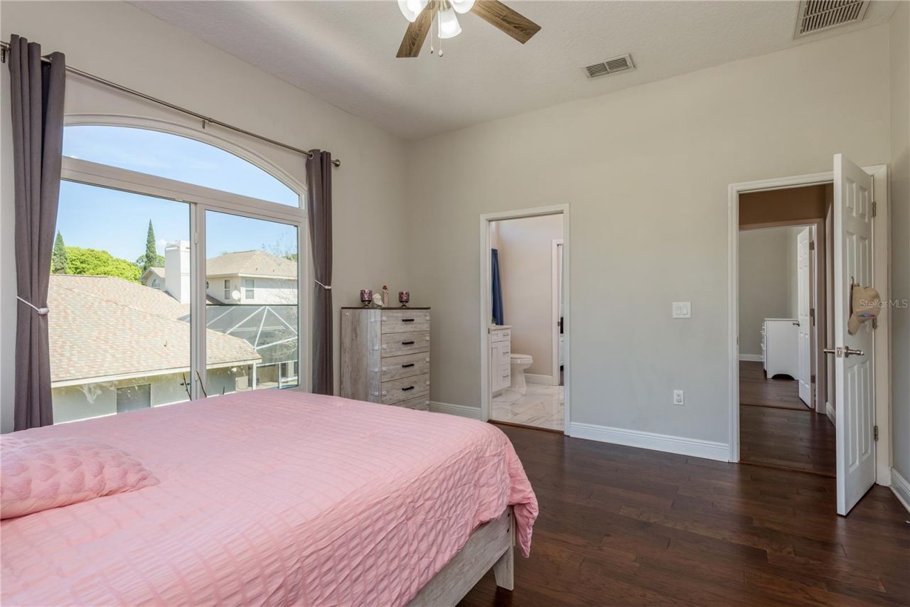 4010 Executive Drive, Palm Harbor, FL 34685 Photo