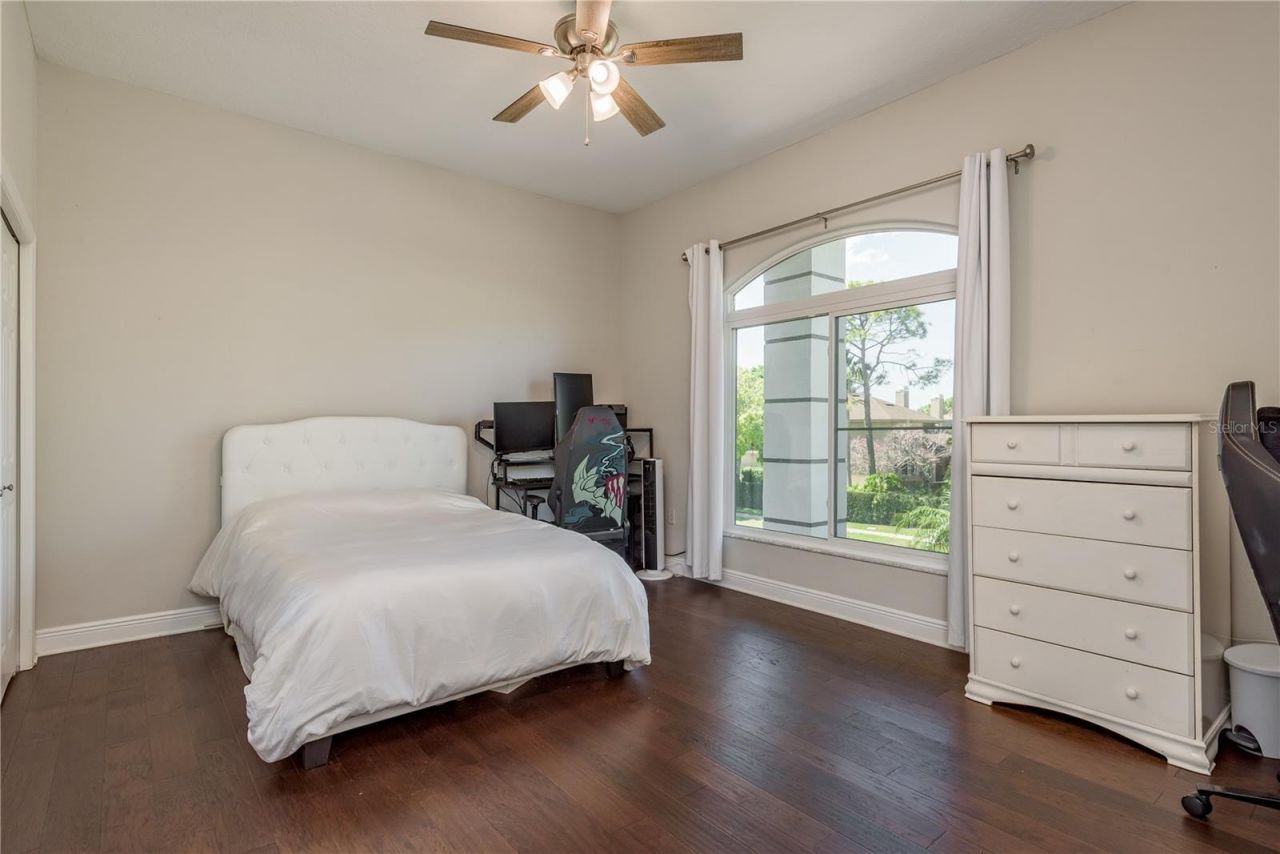 4010 Executive Drive, Palm Harbor, FL 34685 Photo