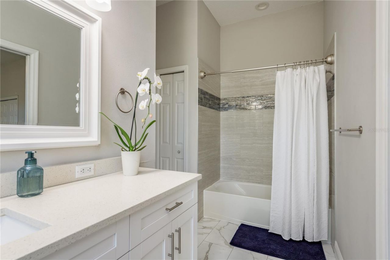 4010 Executive Drive, Palm Harbor, FL 34685 Photo