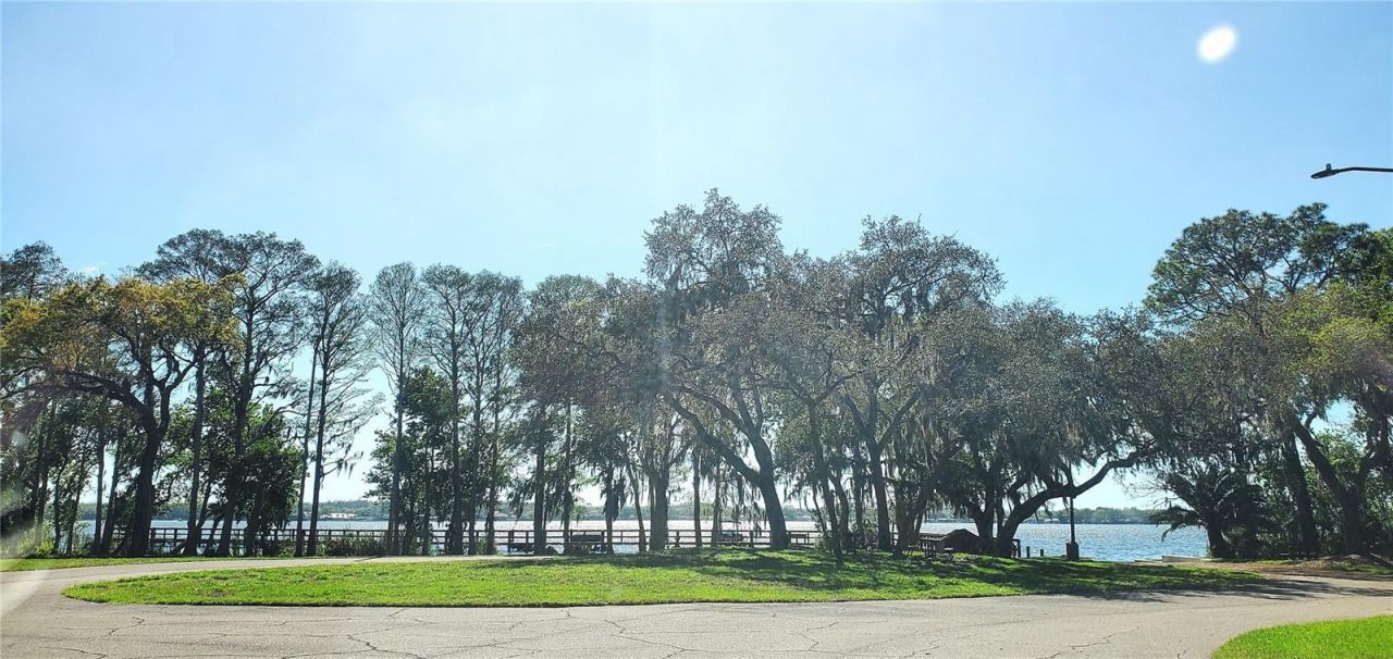 4010 Executive Drive, Palm Harbor, FL 34685 Photo