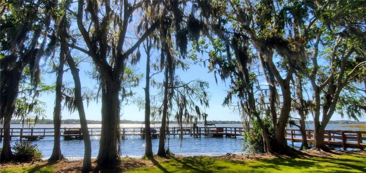 4010 Executive Drive, Palm Harbor, FL 34685 Photo