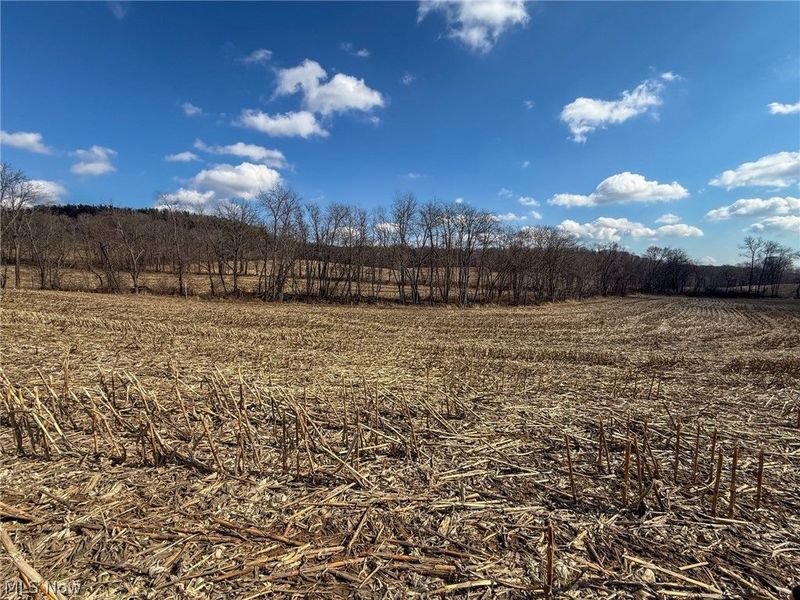 St Rt 603, Lucas, OH 44843 Photo 10