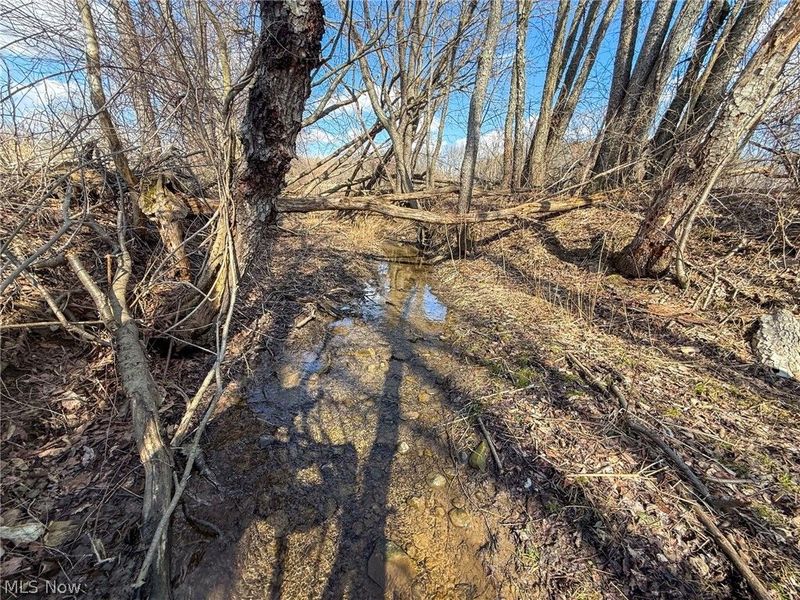 St Rt 603, Lucas, OH 44843 Photo 11